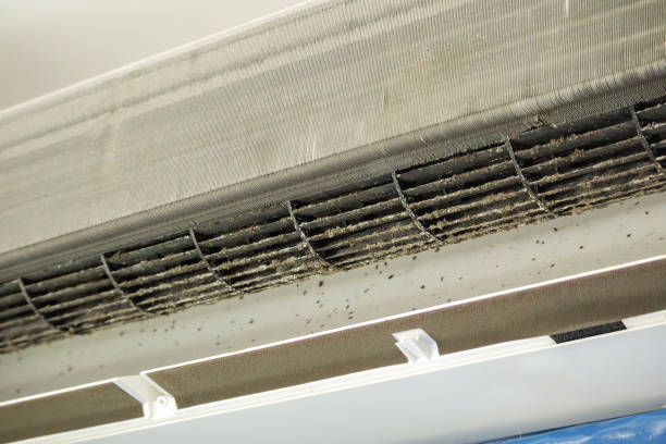 Best Commercial Air Duct Cleaning  in Lake City, FL