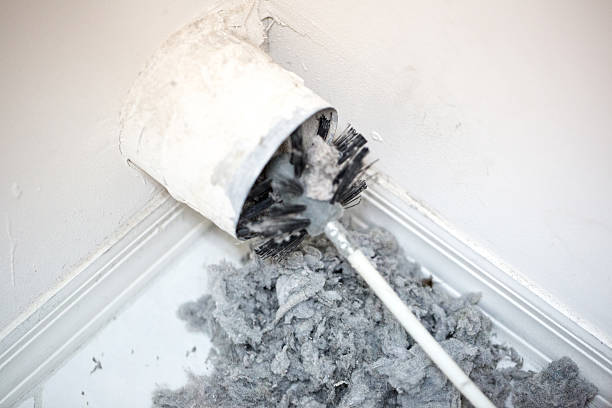 Best HVAC Air Duct Cleaning  in Lake City, FL
